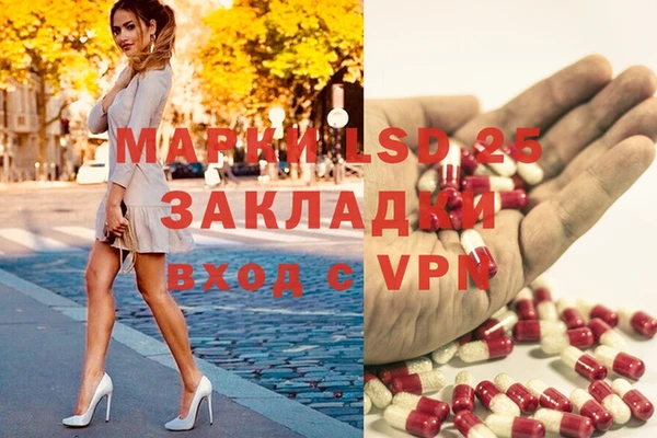 прущие грибы Надым