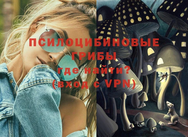 прущие грибы Надым