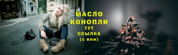 прущие грибы Надым