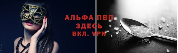 прущие грибы Надым