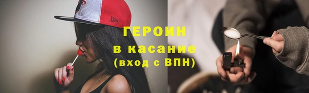 прущие грибы Надым