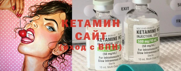 прущие грибы Надым