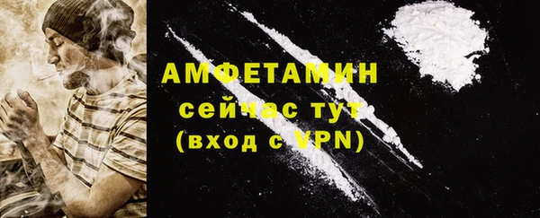 прущие грибы Надым