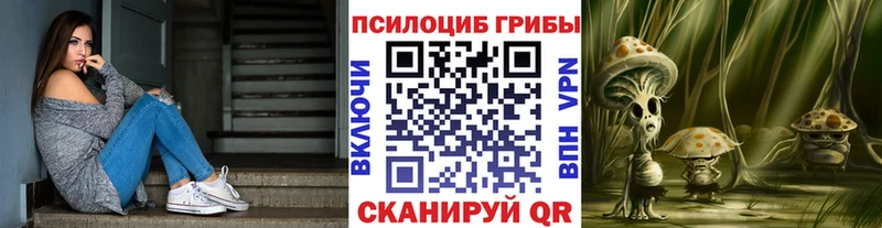 Купить  Зарайск  Псилоцибиновые грибы мухоморы 
